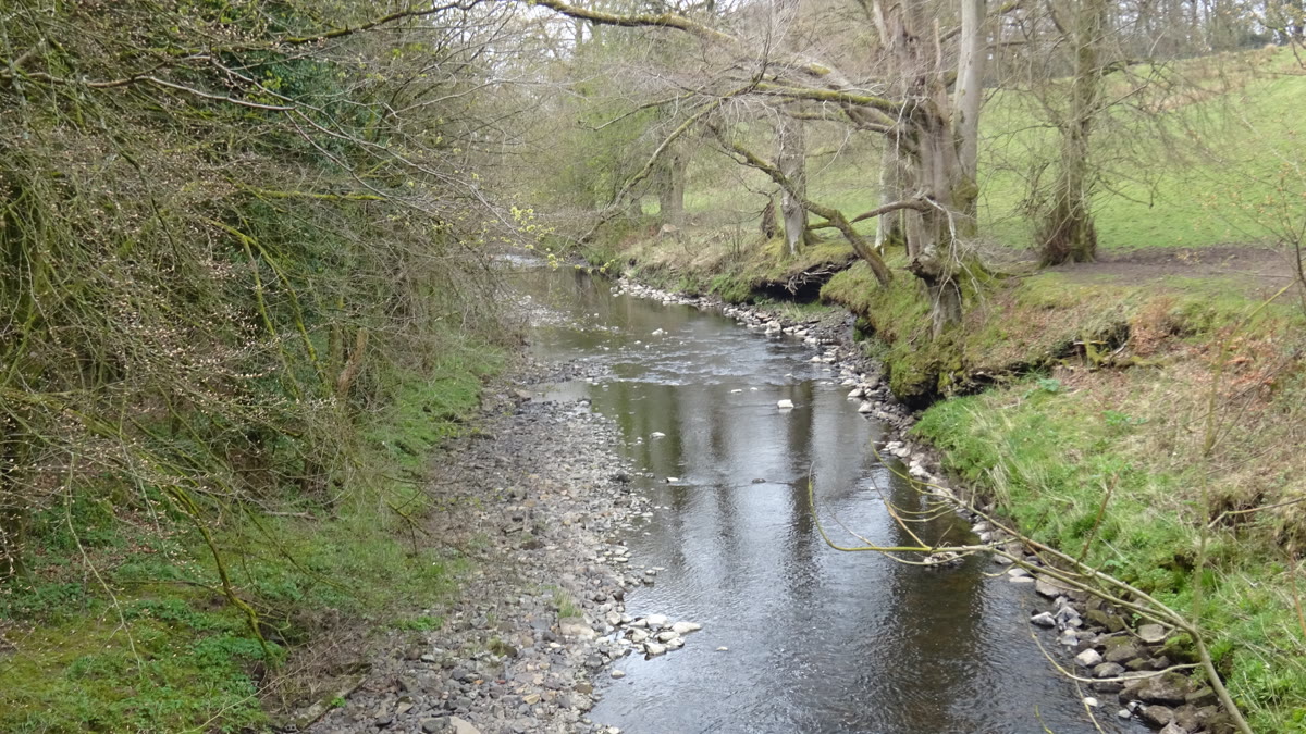 Annick Lodge Bridge, looking downstream