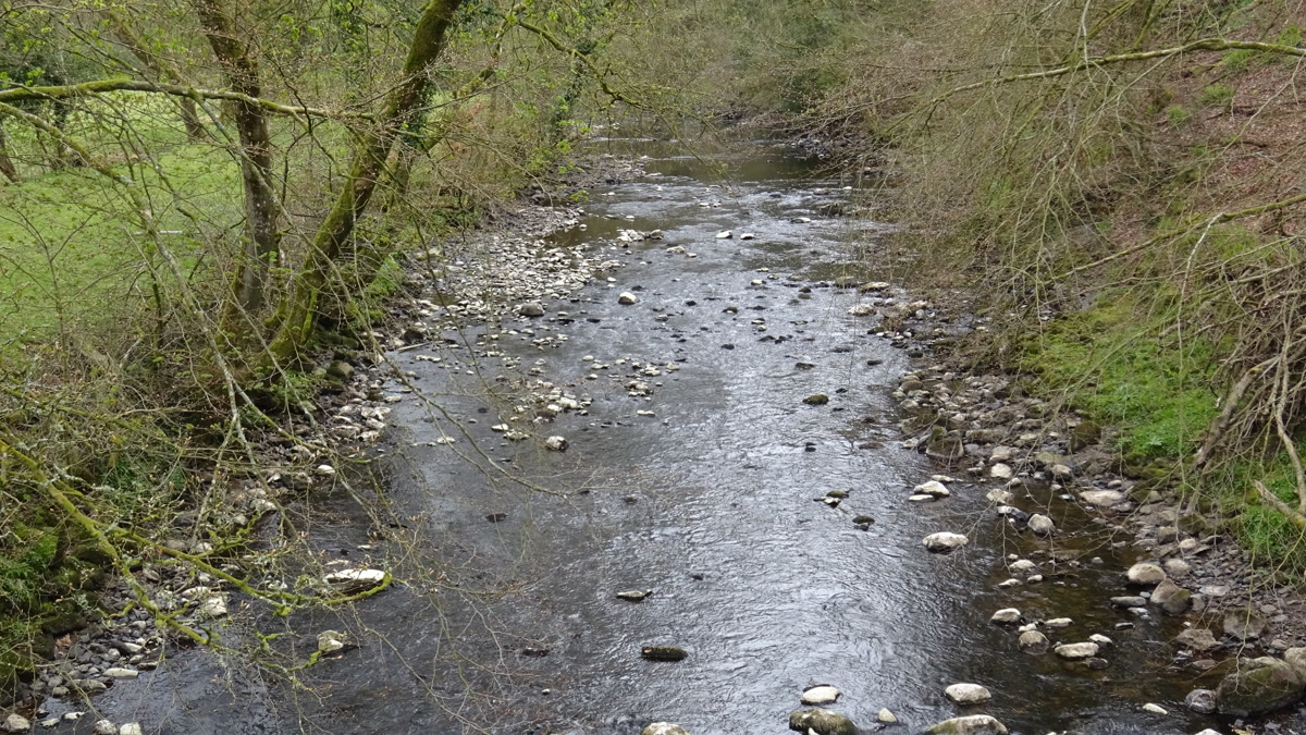 Annick Lodge Bridge upstream