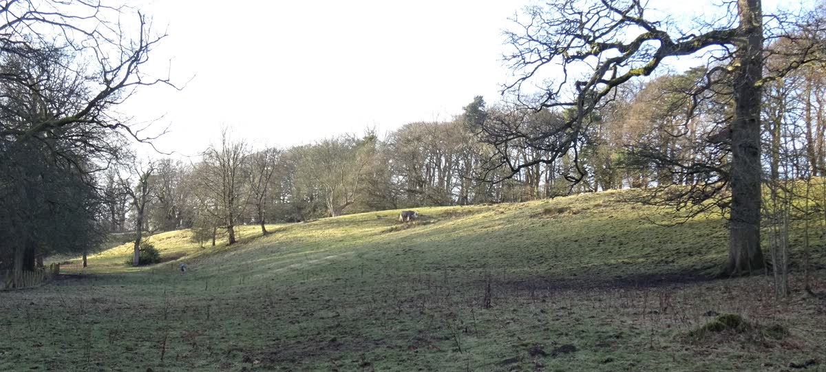 Hut Wood Park at Annick Lodge estate