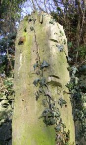 Old railway sleeper at Bourtreehill