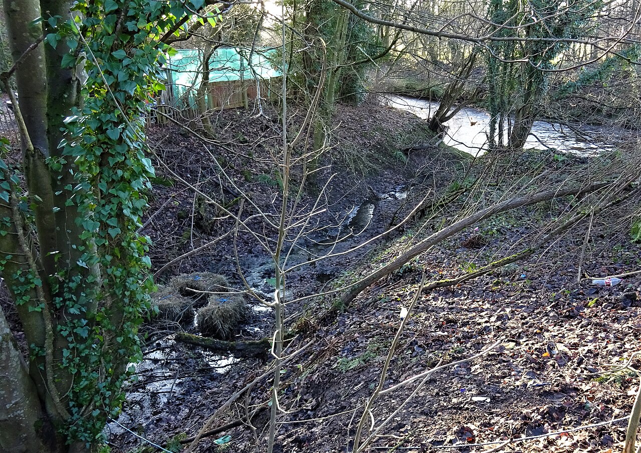 Old Perceton Mill lade exit to the Annick Water